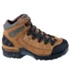 Danner Boots: Men's 45364 Tan GTX Waterproof Hiking Boots